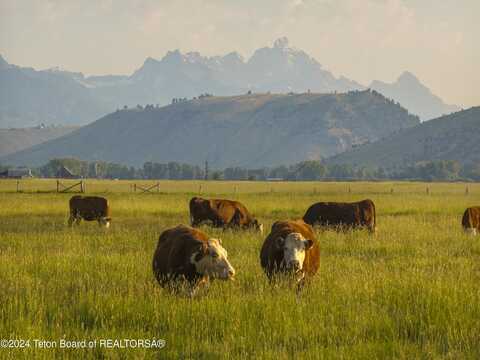 120 ACRES SOUTH PARK LOOP ROAD, Jackson, WY 83001