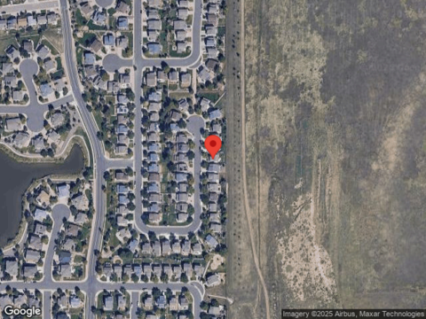 Brown Bear, LITTLETON, CO 80125