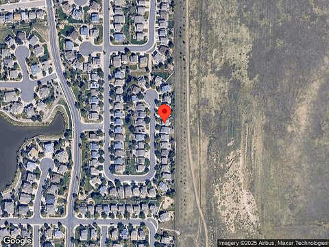 Brown Bear, LITTLETON, CO 80125