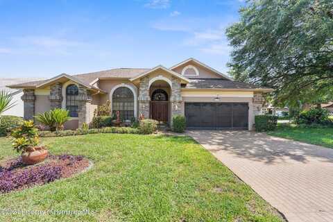 Panther, SPRING HILL, FL 34607