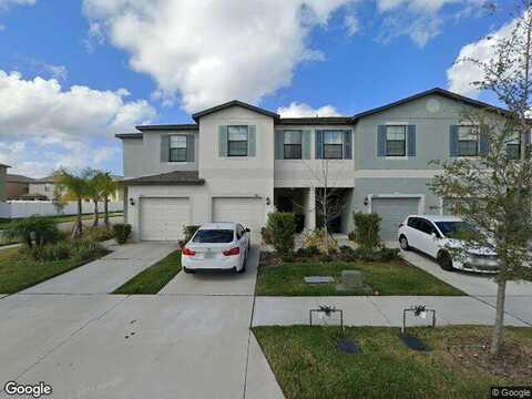 Wild Senna, TAMPA, FL 33619