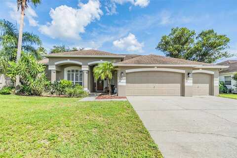 Saddle Ridge, VALRICO, FL 33596