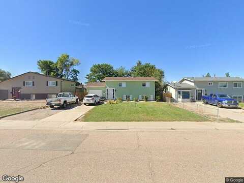 Aster, PUEBLO, CO 81005