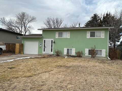 Aster, PUEBLO, CO 81005