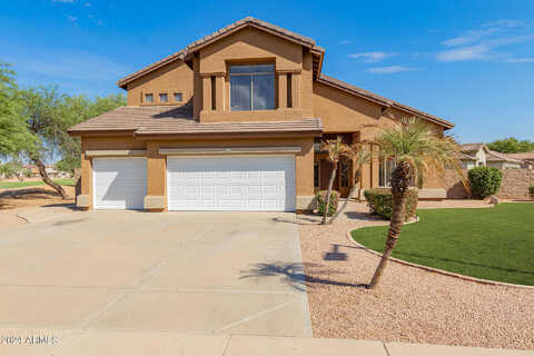 Black Diamond, GILBERT, AZ 85296