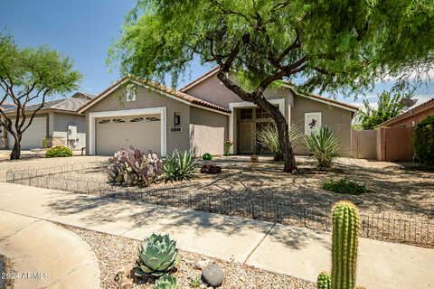 Thorn Tree, CAVE CREEK, AZ 85331