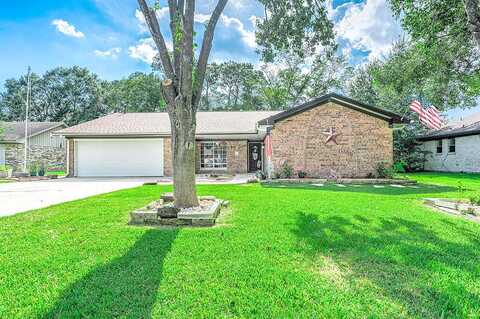 Tanglebriar, DICKINSON, TX 77539