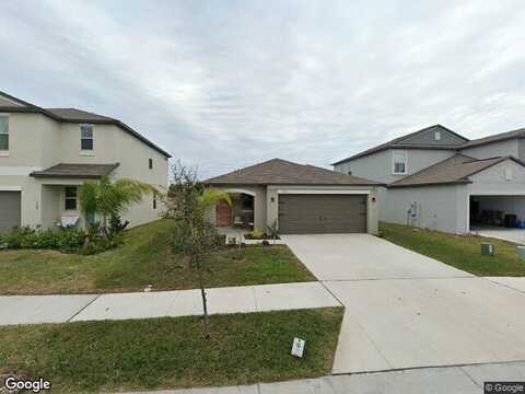 Golden Shiner, NEW PORT RICHEY, FL 34653