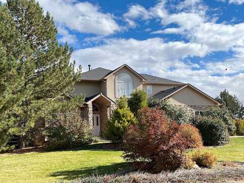 Willow, LONGMONT, CO 80503