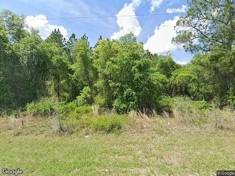 County Road 219, MELROSE, FL 32666