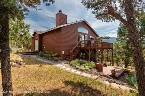 54 Palo Verde, Carbondale, CO 81623