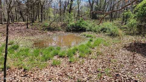 80 +/- Acres Raven RD, Neosho, MO 64844