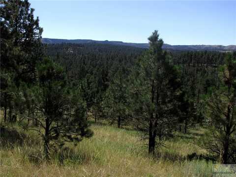 21 Smith TRAIL, Roundup, MT 59072