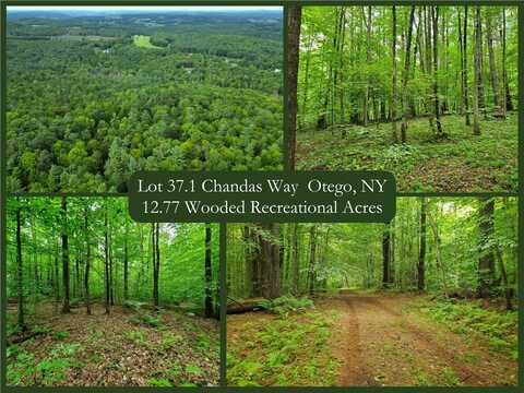 Lot 37.1 Chandas Way, Otego, NY 13825