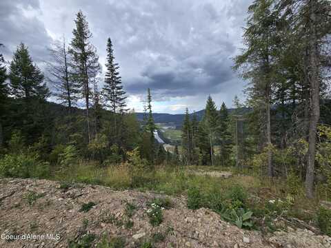 Nka Lamb Rd, Harrison, ID 83833