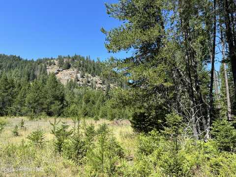 Nka Cedar Springs Rd, Sandpoint, ID 83864