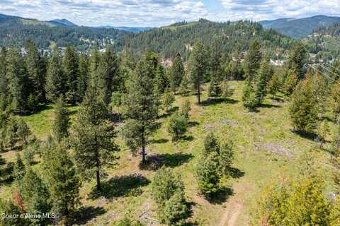 Nna Frosty Lane Lot H, Pinehurst, ID 83850