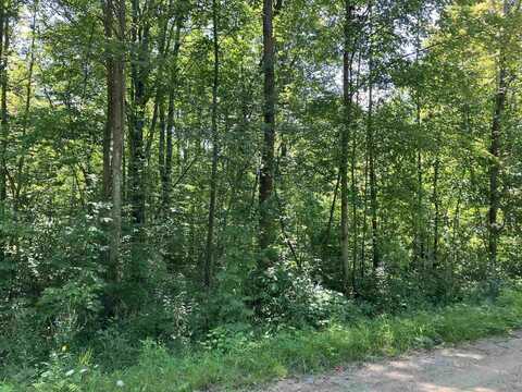 3642 Beech, Beaverton, MI 48612