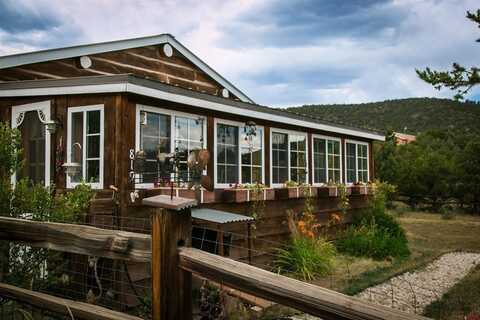 819 Bear Creek Road, South Fork, CO 81154