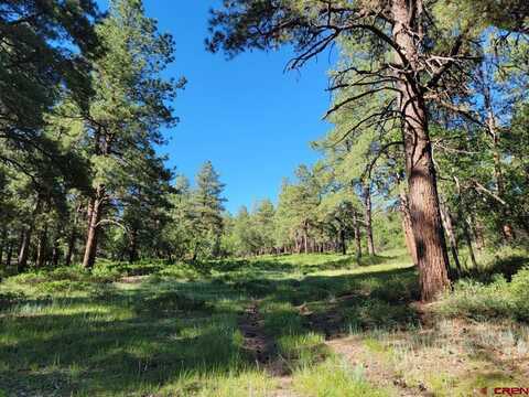 X Catchpole Drive, Pagosa Springs, CO 81147