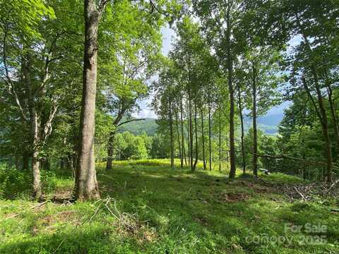 Smith Creek Road, Mars Hill, NC 28754