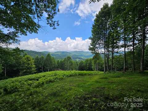 Tbd Smith Creek Road, Mars Hill, NC 28754