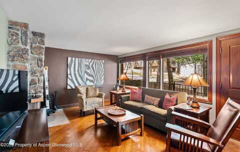 731 S Mill Street, Aspen, CO 81611