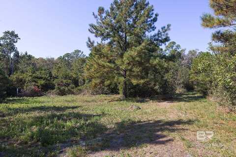 0 Nolte Creek Drive, Foley, AL 35635