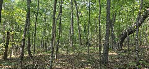 266 Cove Hill Road, Pikeville, TN 37367