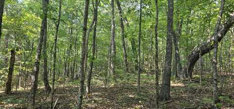 266 Cove Hill Road, Pikeville, TN 37367