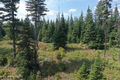 Tract 21 Hidden River Vistas, Saint Maries, ID 83861