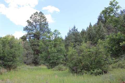 4678 County Road 240, Durango, CO 81301