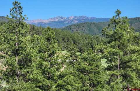 X Catchpole Drive, Pagosa Springs, CO 81147