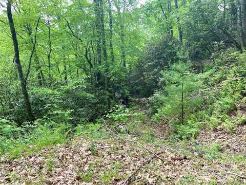 Mystic Forest Way lot: 10, Bryson City, NC 28713
