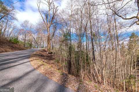 LOT 43 Dusty Danno TRL, Mineral Bluff, GA 30559