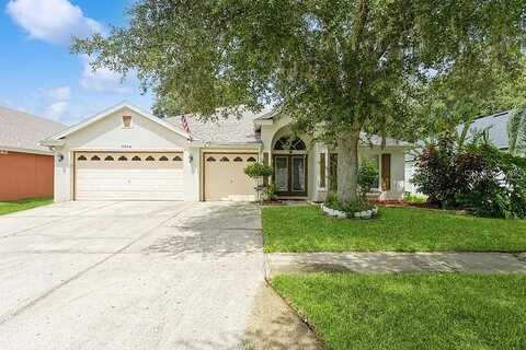 San Travaso, TAMPA, FL 33647