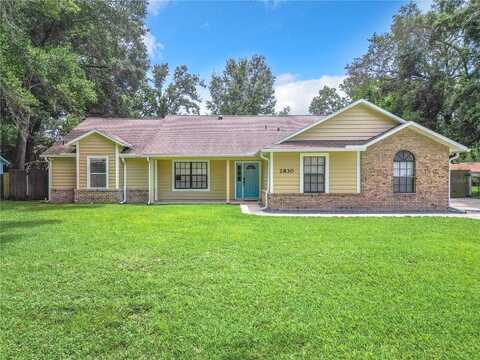 Croton, APOPKA, FL 32703