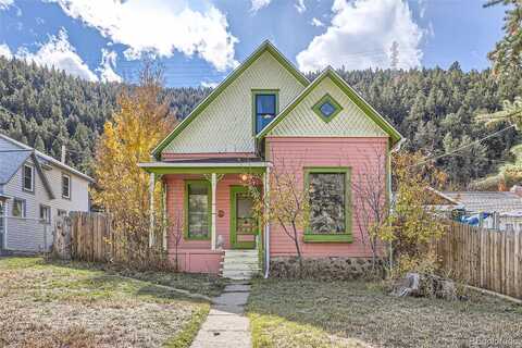 Miner, IDAHO SPRINGS, CO 80452