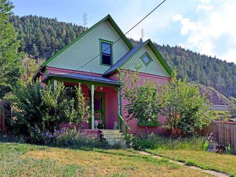 Miner, IDAHO SPRINGS, CO 80452