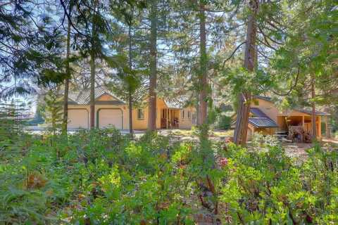 Hidden Treasure, FORESTHILL, CA 95631