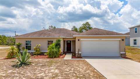 Elderberry, KISSIMMEE, FL 34759