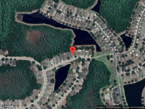 Fauna, HUDSON, FL 34669