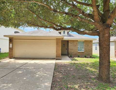 Honey Locust, ELGIN, TX 78621