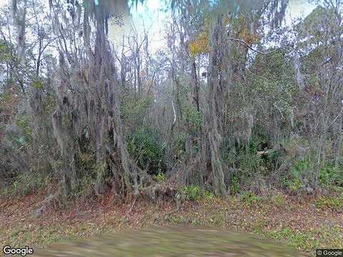 87Th Avenue, REDDICK, FL 32686