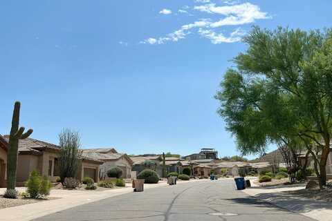 Jojoba, FOUNTAIN HILLS, AZ 85268