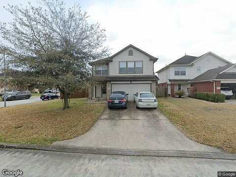 Siberian Elm, HOUSTON, TX 77073