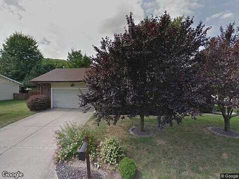 Orchid, HIGHLAND, IL 62249