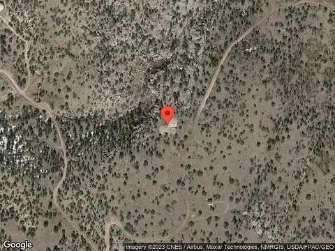 Bear Track, DATIL, NM 87821