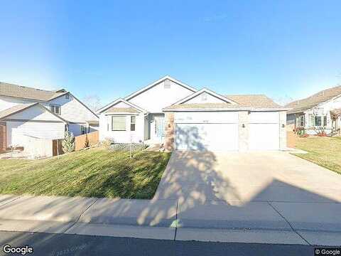 Mountain Daisy, HIGHLANDS RANCH, CO 80129