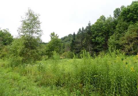 Lot 10.7 Fall Clove Road, Andes, NY 13752